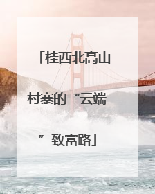 桂西北高山村寨的“云端”致富路