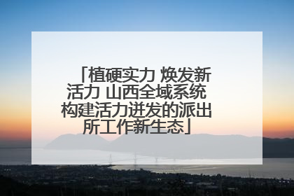 植硬实力 焕发新活力 山西全域系统构建活力迸发的派出所工作新生态