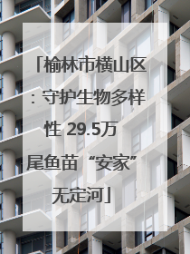 榆林市横山区：守护生物多样性 29.5万尾鱼苗“安家”无定河