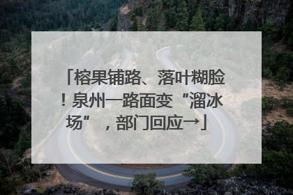 榕果铺路、落叶糊脸！泉州一路面变“溜冰场”，部门回应→