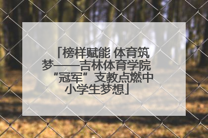 榜样赋能 体育筑梦——吉林体育学院“冠军”支教点燃中小学生梦想