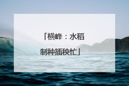 横峰：水稻制种插秧忙