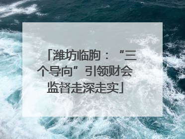 潍坊临朐：“三个导向”引领财会监督走深走实