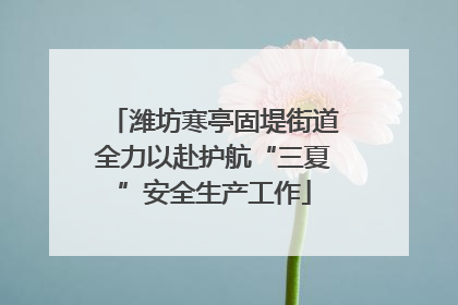 潍坊寒亭固堤街道全力以赴护航“三夏”安全生产工作