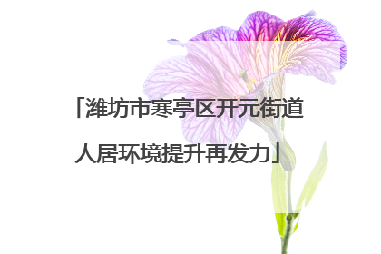 潍坊市寒亭区开元街道人居环境提升再发力