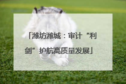 潍坊潍城：审计“利剑”护航高质量发展