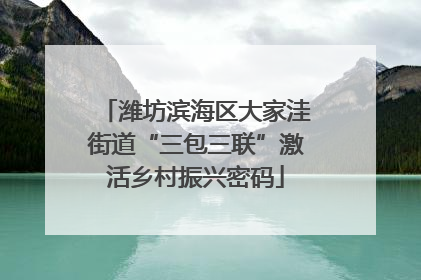 潍坊滨海区大家洼街道“三包三联”激活乡村振兴密码