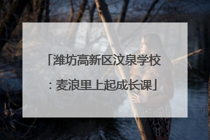 潍坊高新区汶泉学校：麦浪里上起成长课