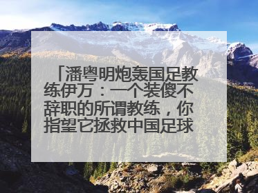潘粤明炮轰国足教练伊万：一个装傻不辞职的所谓教练，你指望它拯救中国足球！此前曾多次发文评价国足