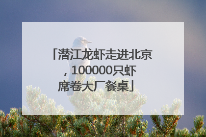 潜江龙虾走进北京，100000只虾席卷大厂餐桌
