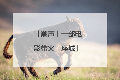 潮声丨一部电影带火一座城