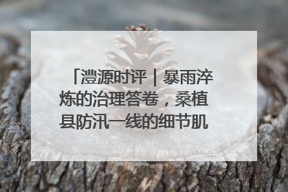 澧源时评｜暴雨淬炼的治理答卷，桑植县防汛一线的细节肌理与体系力量