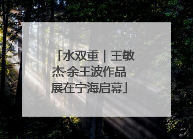 水双重｜王敏杰·余王波作品展在宁海启幕