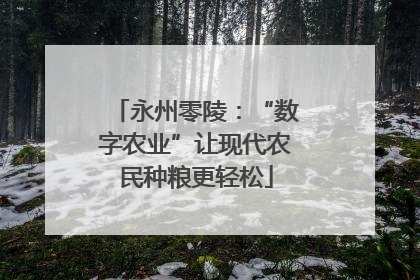 永州零陵：“数字农业”让现代农民种粮更轻松