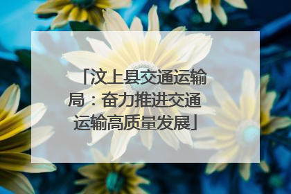 汶上县交通运输局：奋力推进交通运输高质量发展