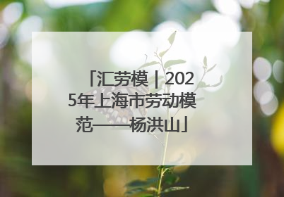 汇劳模｜2025年上海市劳动模范——杨洪山