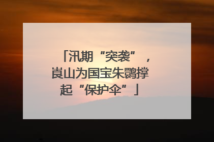 汛期“突袭”，崀山为国宝朱鹮撑起“保护伞”