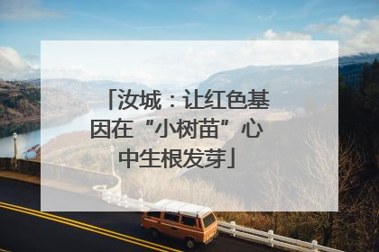 汝城：让红色基因在“小树苗”心中生根发芽