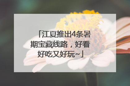 江夏推出4条暑期宝藏线路，好看好吃又好玩~
