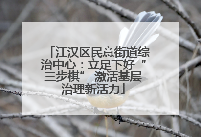 江汉区民意街道综治中心：立足下好“三步棋” 激活基层治理新活力