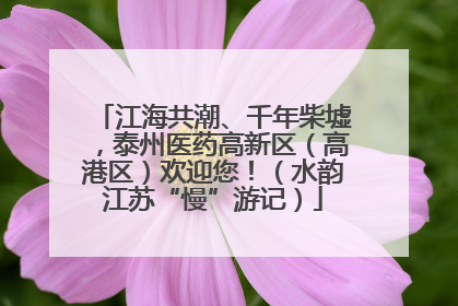 江海共潮、千年柴墟，泰州医药高新区（高港区）欢迎您！（水韵江苏“慢”游记）