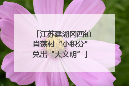 江苏建湖冈西镇肖荡村“小积分”兑出“大文明”