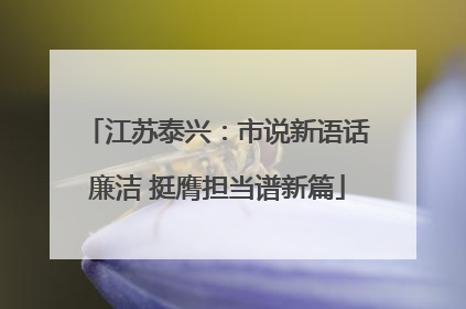 江苏泰兴：市说新语话廉洁 挺膺担当谱新篇