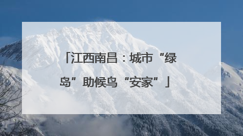 江西南昌：城市“绿岛”助候鸟“安家”