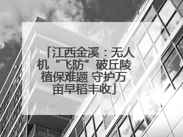 江西金溪：无人机“飞防”破丘陵植保难题 守护万亩早稻丰收