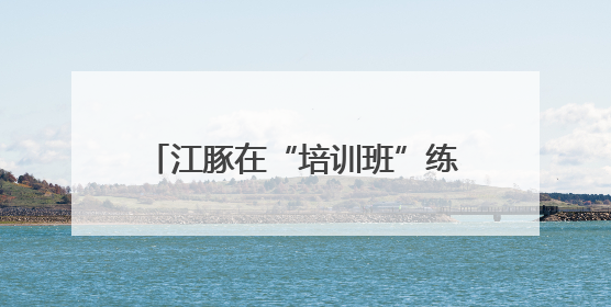 江豚在“培训班”练就江湖本领，外国代表想复制技术回国