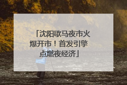 沈阳歇马夜市火爆开市！首发引擎点燃夜经济