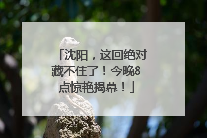 沈阳，这回绝对藏不住了！今晚8点惊艳揭幕！