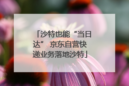沙特也能“当日达” 京东自营快递业务落地沙特