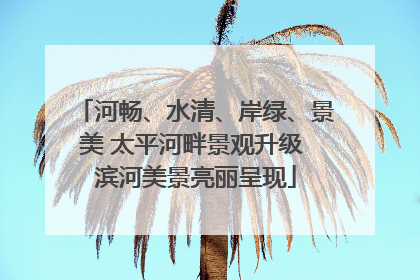 河畅、水清、岸绿、景美 太平河畔景观升级 滨河美景亮丽呈现