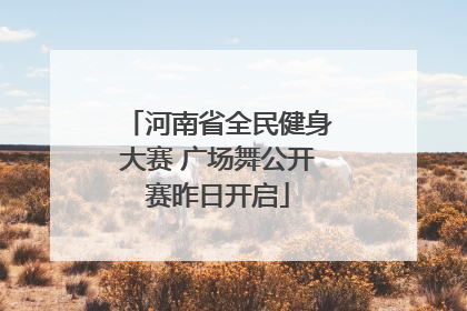 河南省全民健身大赛 广场舞公开赛昨日开启
