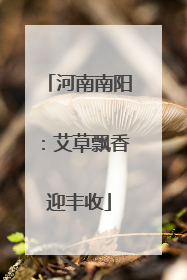 河南南阳：艾草飘香迎丰收