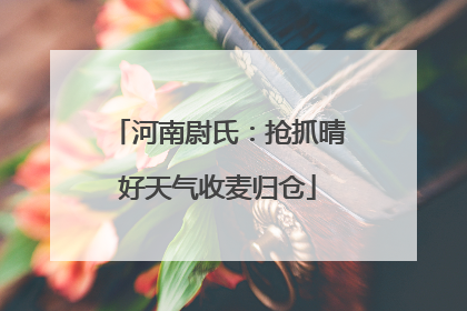 河南尉氏：抢抓晴好天气收麦归仓