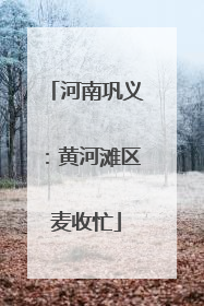 河南巩义：黄河滩区麦收忙