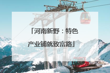 河南新野：特色产业铺就致富路