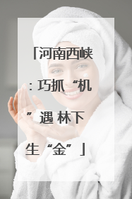 河南西峡：巧抓“机”遇 林下生“金”