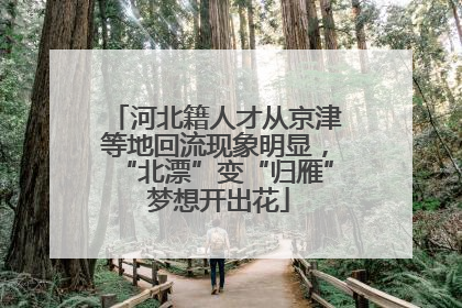 河北籍人才从京津等地回流现象明显，“北漂”变“归雁” 梦想开出花