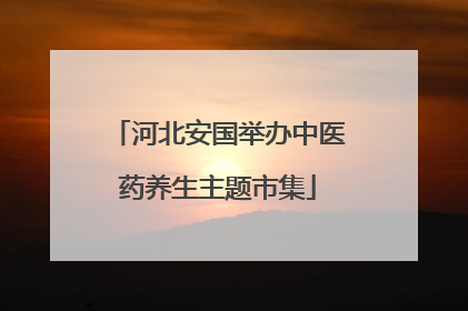 河北安国举办中医药养生主题市集