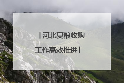 河北夏粮收购工作高效推进