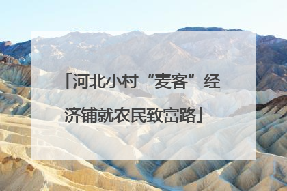 河北小村“麦客”经济铺就农民致富路