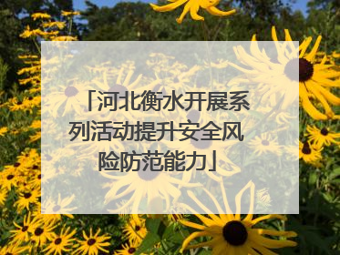 河北衡水开展系列活动提升安全风险防范能力
