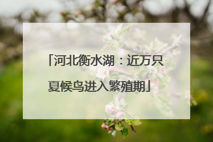 河北衡水湖：近万只夏候鸟进入繁殖期