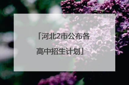 河北2市公布各高中招生计划