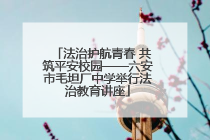 法治护航青春 共筑平安校园——六安市毛坦厂中学举行法治教育讲座