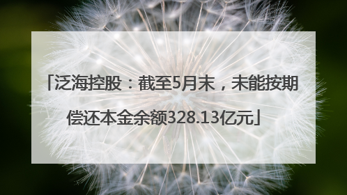 泛海控股：截至5月末，未能按期偿还本金余额328.13亿元