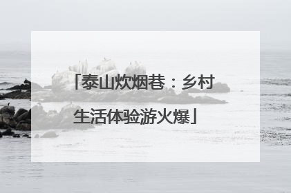 泰山炊烟巷：乡村生活体验游火爆